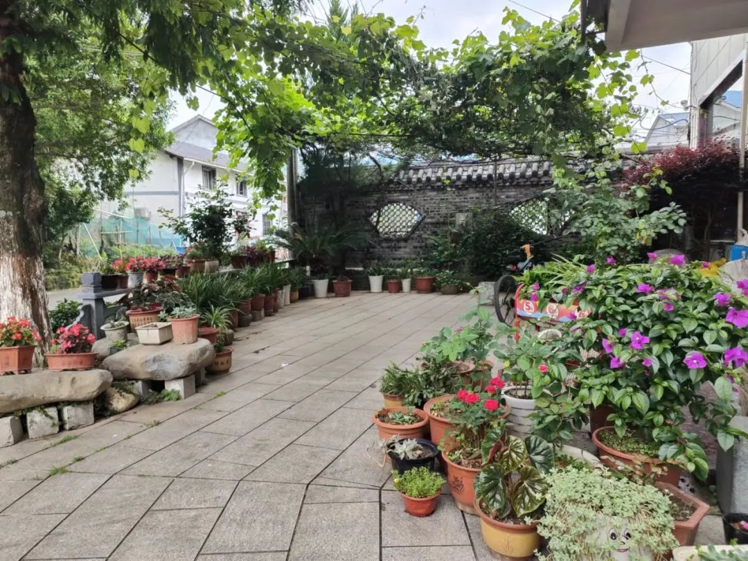 聚焦十美丨美丽庭院示范村系列展播⑧——查田镇溪口村