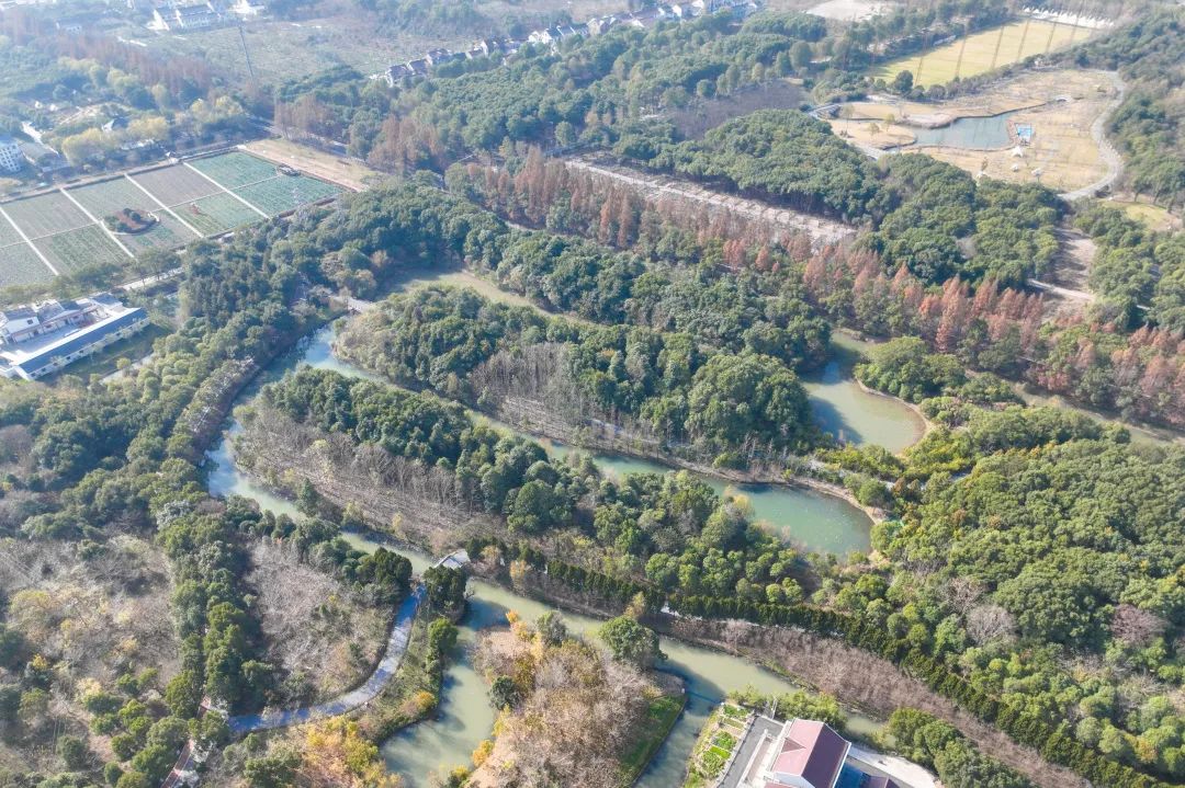 来看看金汇镇2023年的高光时刻!_澎湃号·政务_澎湃新闻-the paper