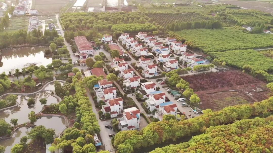 来看看金汇镇2023年的高光时刻!_澎湃号·政务_澎湃新闻-the paper