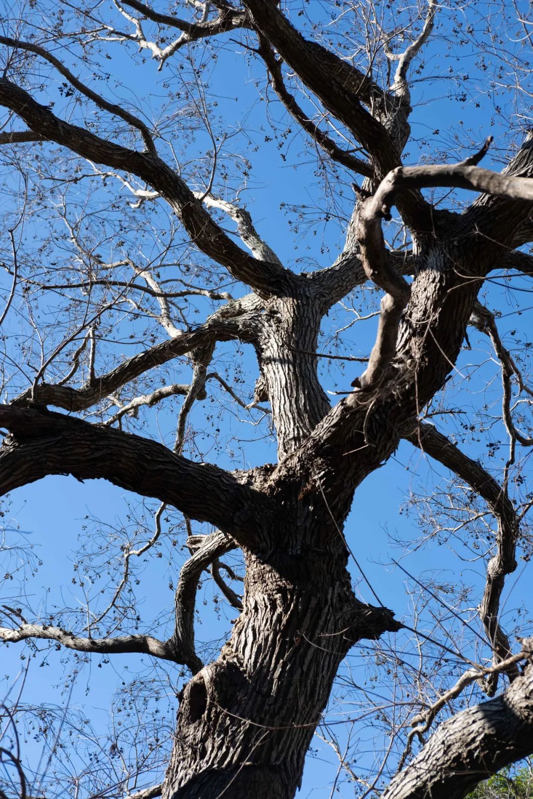 古路摄影:一次摄影与文学的寻觅之旅_澎湃号·湃客