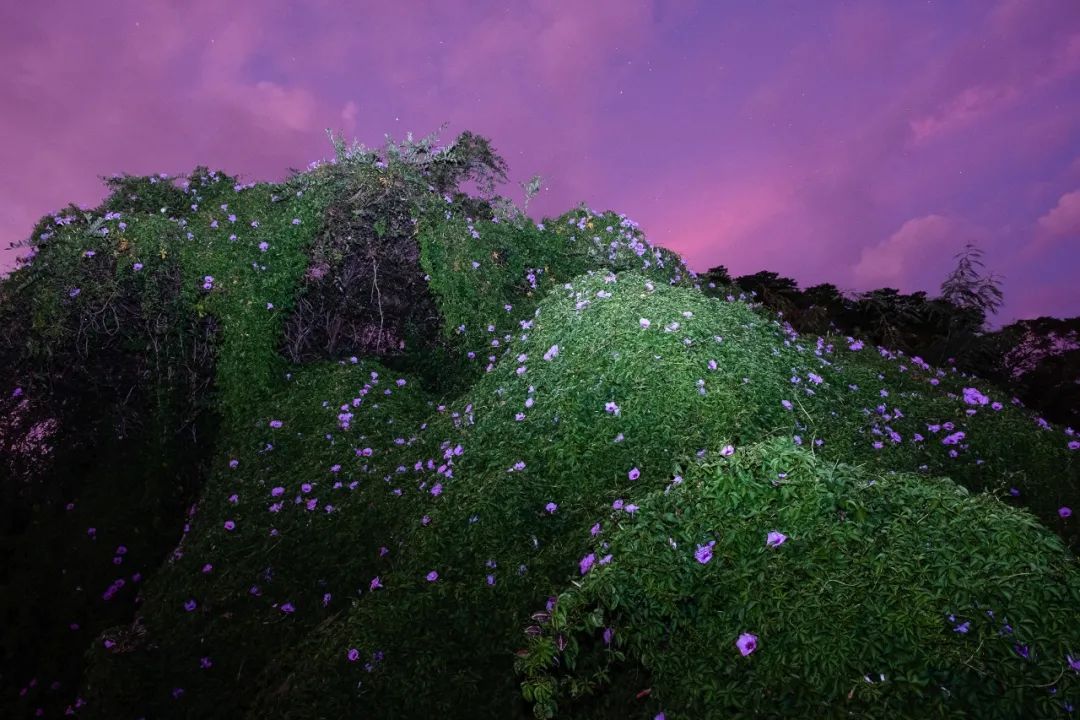 古路摄影:一次摄影与文学的寻觅之旅_澎湃号·湃客