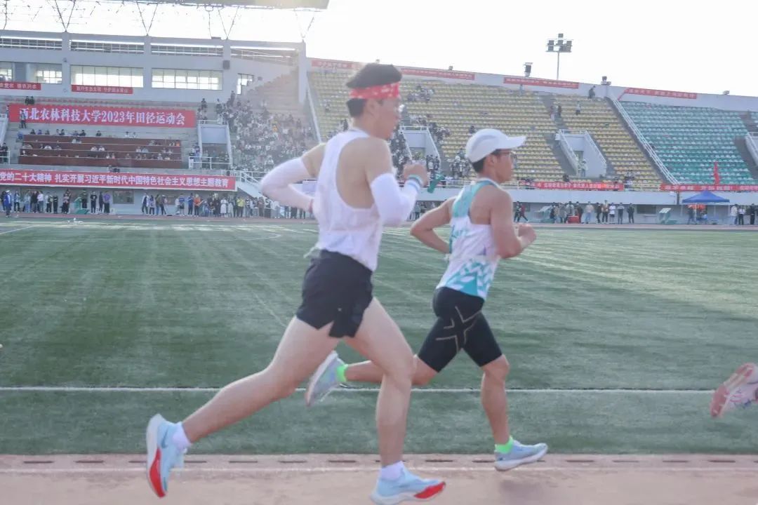 四月沉浸式体验西农的春天闲暇时安排一次校园游八教门前的花应该开了