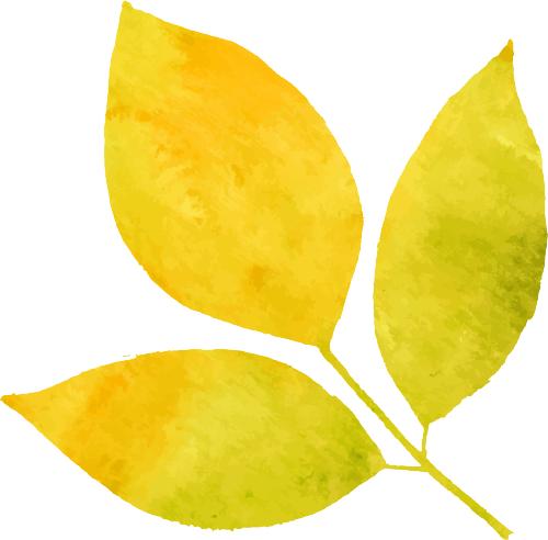 【人文蓬江】陈垣故居遇客记_澎湃号·政务_澎湃新闻-the paper