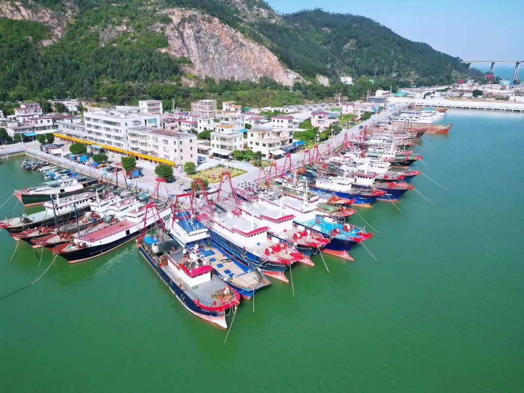 澎湃号·政务_澎湃新闻-the paper