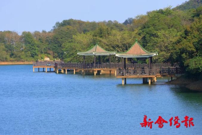【绿美新会】春暖花开,到圭峰山一边赏花一边"森"呼吸吧!