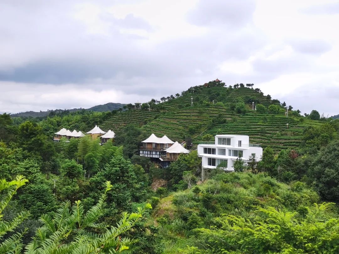拍摄地:平阳县水头镇新联村▲ 《雨后春笋》拍摄地:桐庐县莪山畲族乡