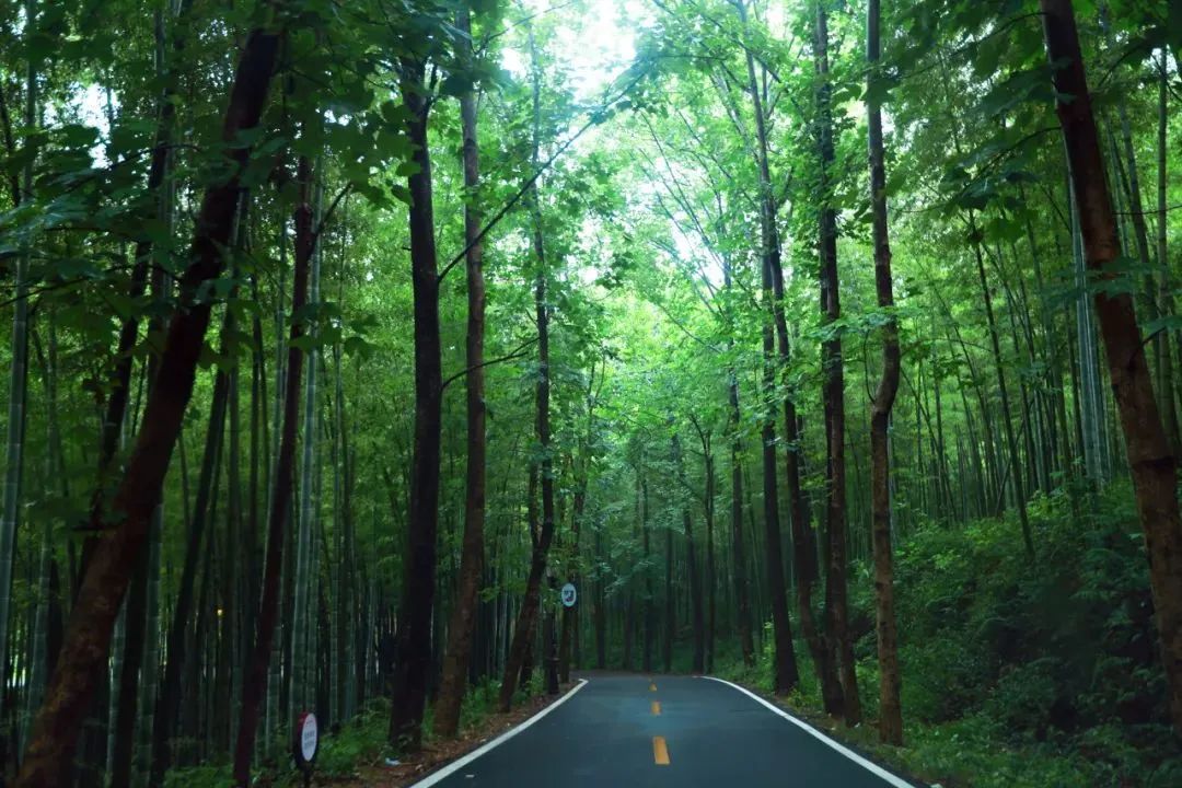 恩施坪坝营景区图/鹿门景区图/麻城旅游-鹿门寺国家森林公园图/皇石