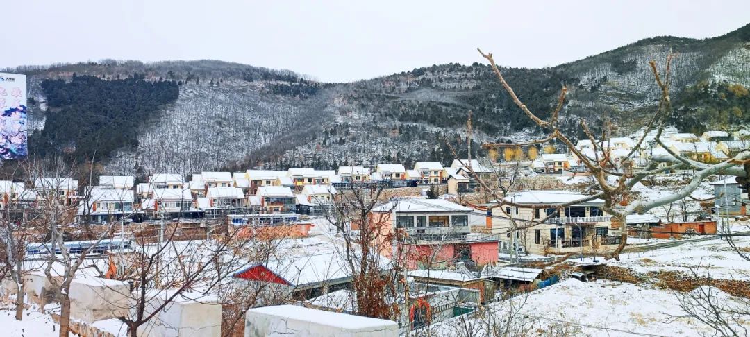 当平谷遇上龙年初雪→_澎湃号·政务_澎湃新闻-the paper