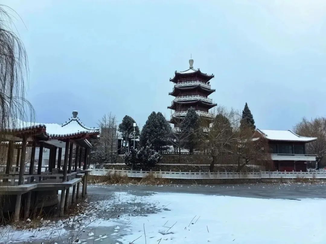 高大尚平谷美如画当平谷遇上龙年初雪