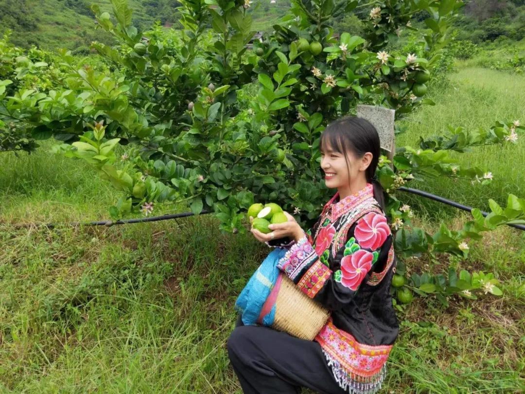 巍山县永建镇打竹村一名地地道道的彝族女孩,2011年从大理卫校护理