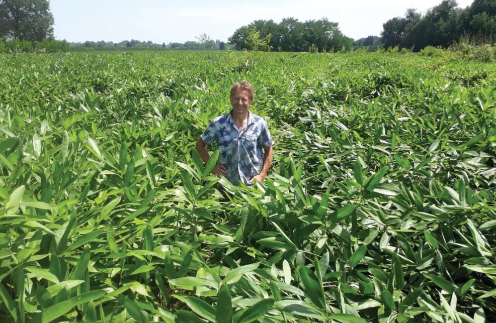 环球竹藤意大利开展竹产业发展可行性研究