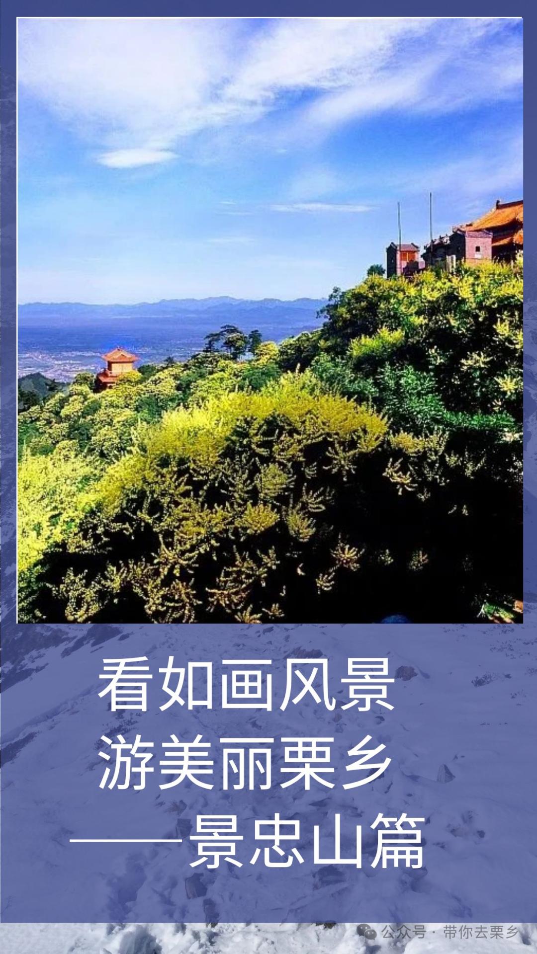 景忠山文案图片