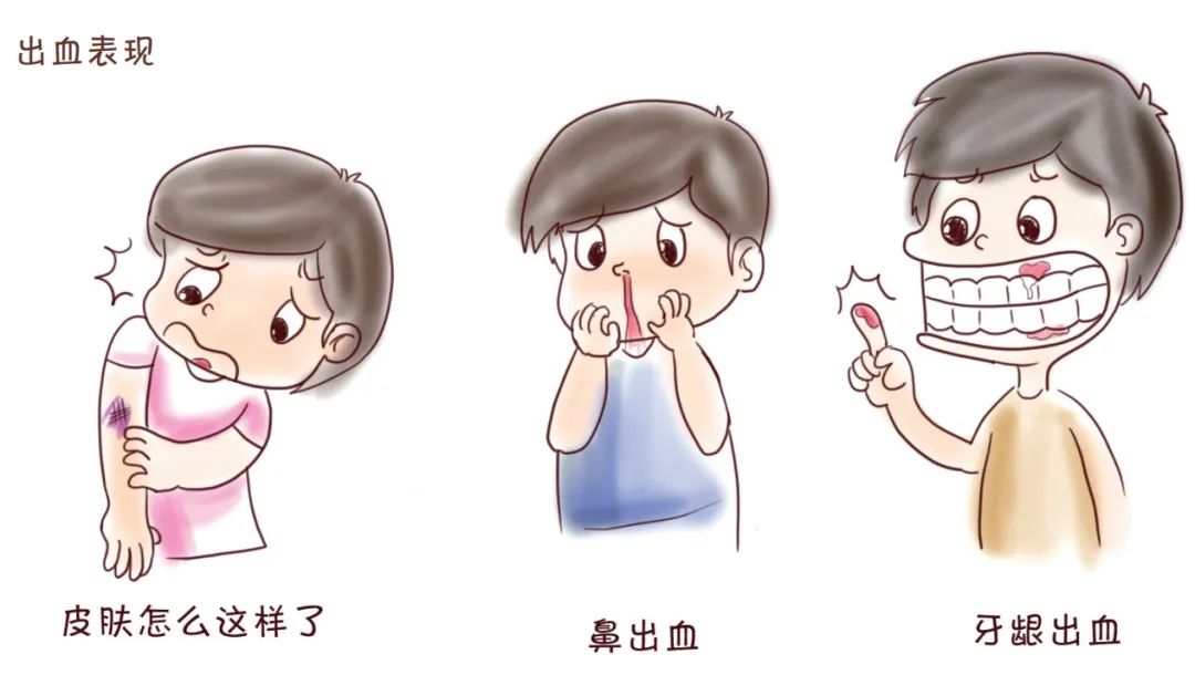 澎湃号·湃客_澎湃新闻-the paper