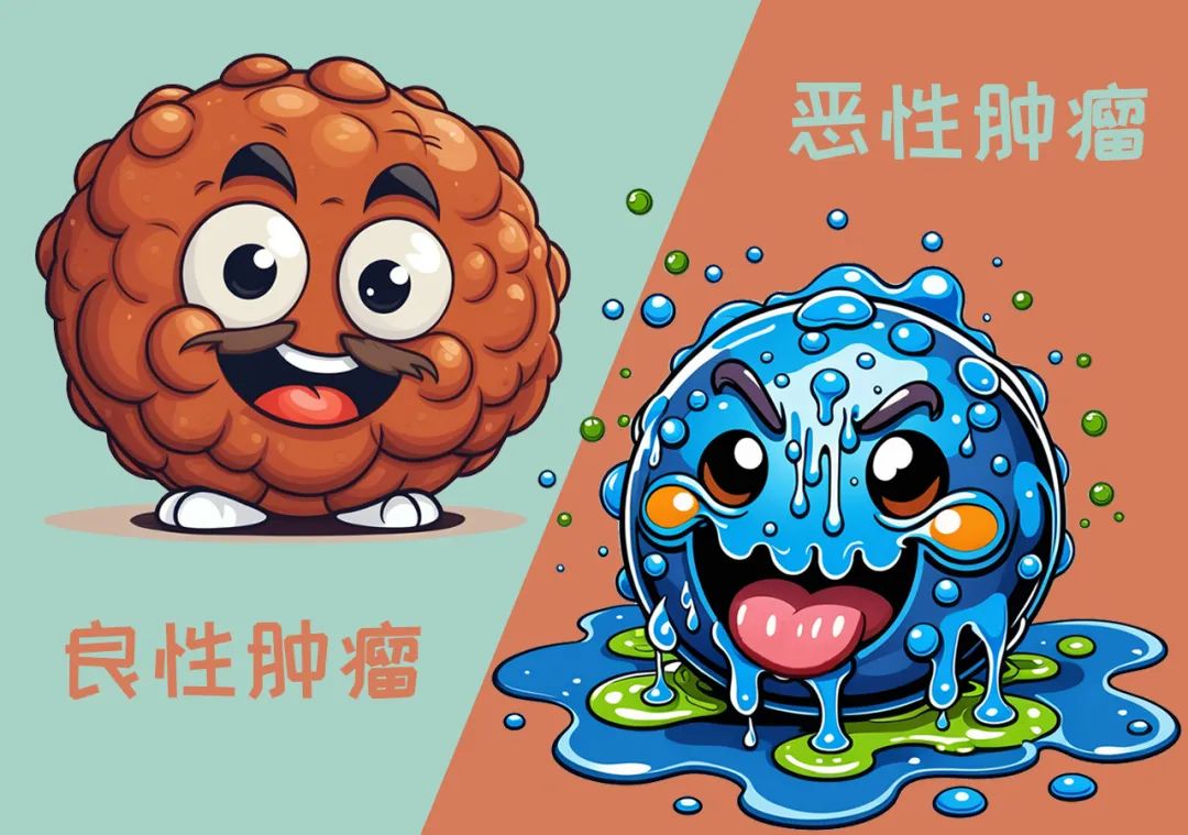在医学中,肿瘤可以被分成两种,一种是良性肿瘤,另一种是恶性肿瘤.