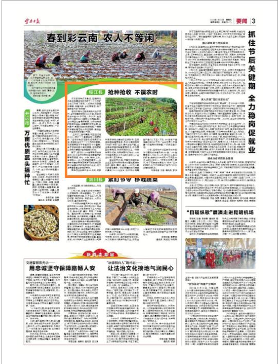 抢种抢收 不误农时《云南日报》关注昭通绥江县春耕