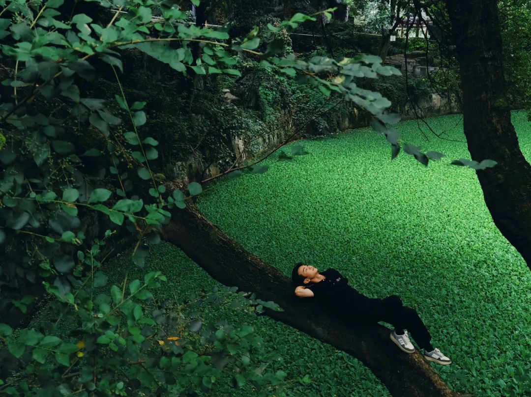 08吴四海oppo findn308未央久陌oppo findx608譚英雄herotan