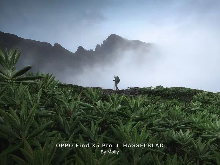 08蓦黎oppo findx5pro08异域行者oppo findx6pro08护花小兵oppo