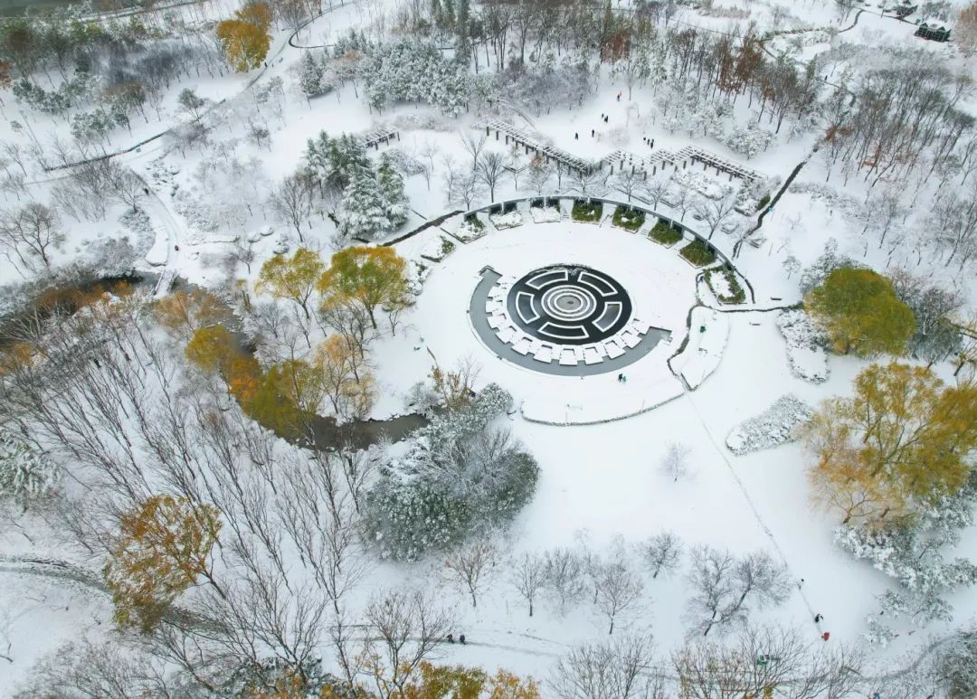 郑州之林 图|周甬郑州森林公园 图|马健雪后南环公园 图|马健走着走着