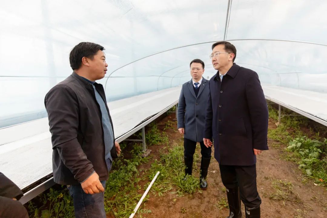 余峰检查督导低温雨雪冰冻天气防范应对工作及春耕备耕,复工复产情况