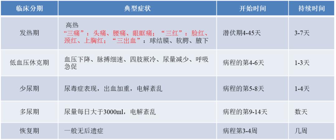 一只老鼠引发的血案,警惕流行性出血热_澎湃号·政务_澎湃新闻-the