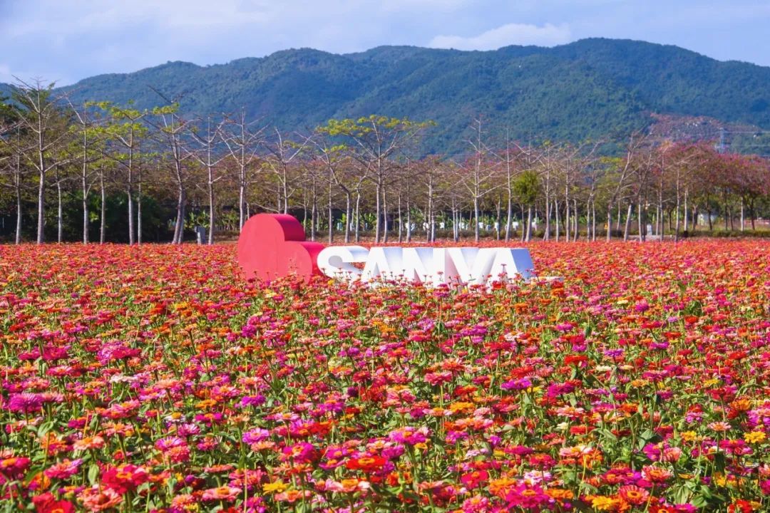 元宵就这么玩~_澎湃号·政务_澎湃新闻-the paper