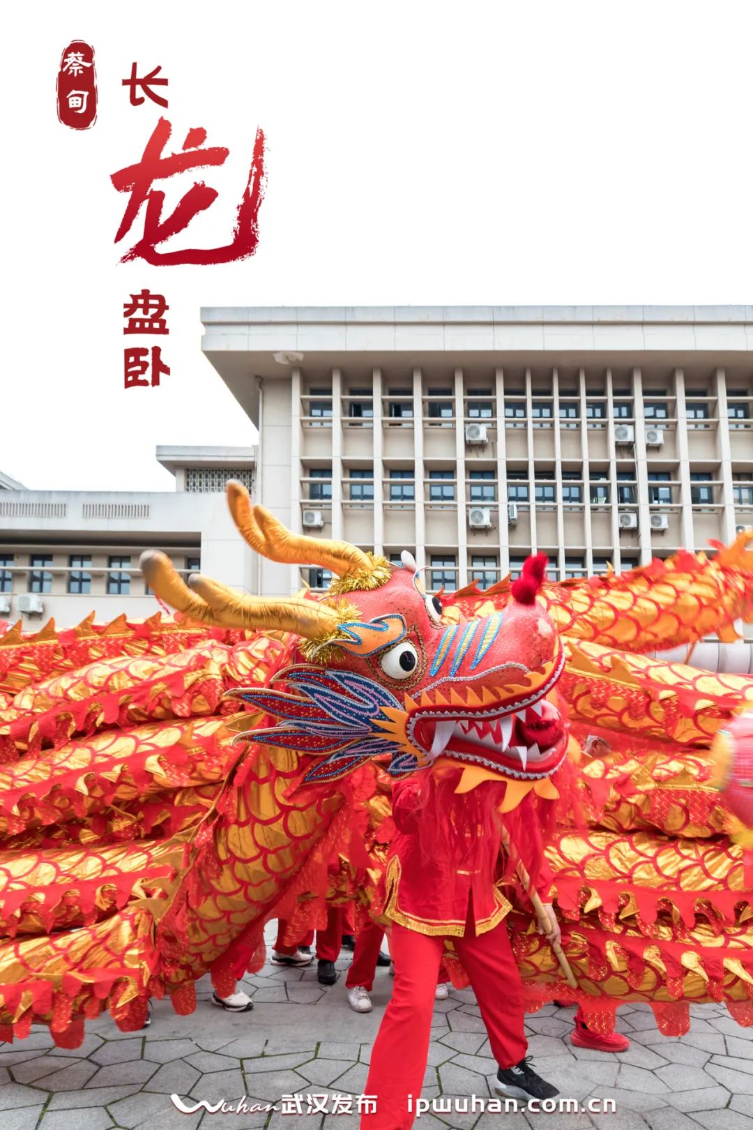 花灯闹龙的传人生生不息龙的精神积厚流光龙的年俗历久弥新在整个武汉