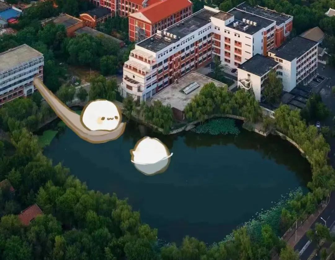 檐下装饰工艺精湛尽显中式古典建筑之美点击品尝天大版汤圆月圆梅开