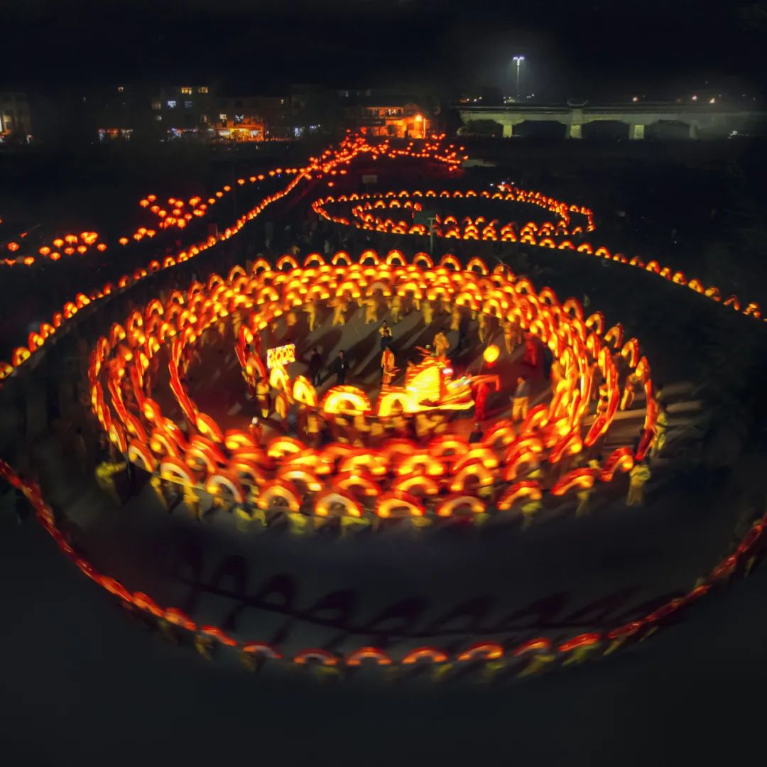 浙丽元宵:今天龙泉看龙指南请收好_澎湃号·政务_澎湃新闻-the paper