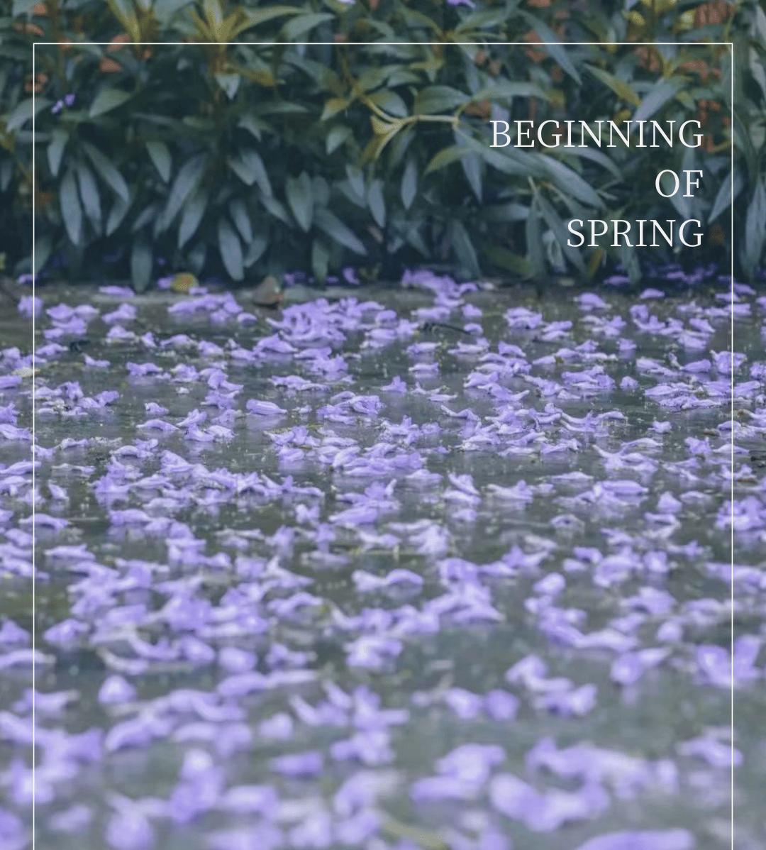 也可在各校门入口处用手机微信扫描"访客入校二维码"刷码进校