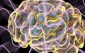 《医学快讯》2月19日消息"大脑的淋巴系统是目前所有医学中最热门的