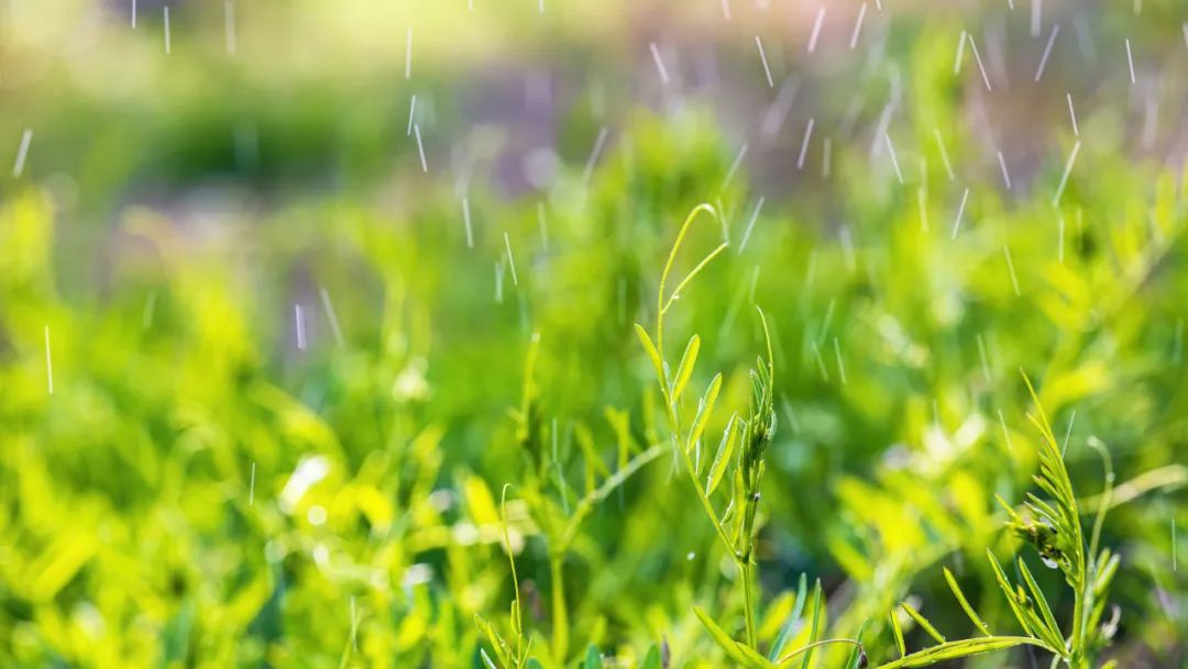 一边晴一边雨的图片图片