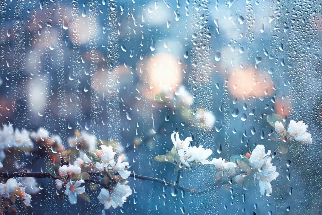 今日雨水|雨过天晴万物暖