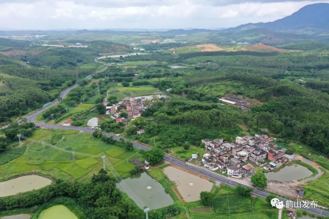 的好選擇櫻花大道繁花錦簇浪漫鄉村路線鶴城鎮城西村櫻花大道全長1