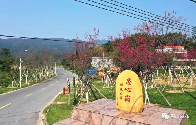 漫游鹤山,不负春光!这几个宝藏骑行路线,邀您来打卡!