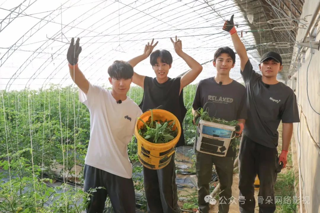 综艺重塑"男团成功学"_澎湃号·湃客_澎湃新闻-the paper