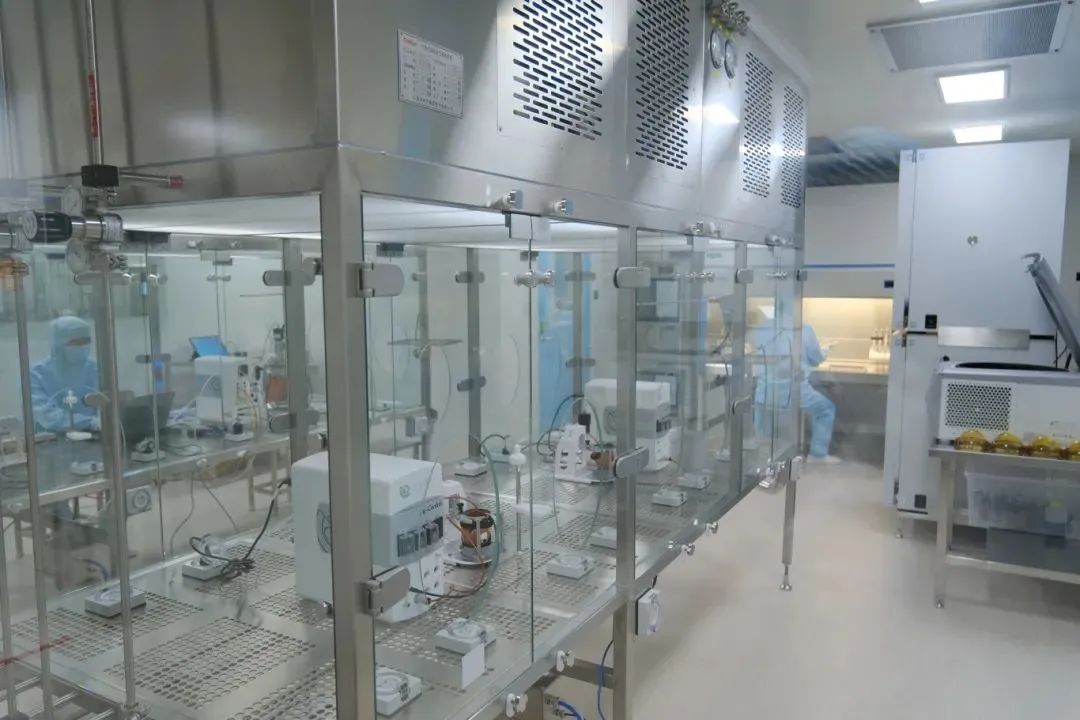 王立群:回沪17年,海归博士厉兵秣马研发国产原创创新药_澎湃号·政务