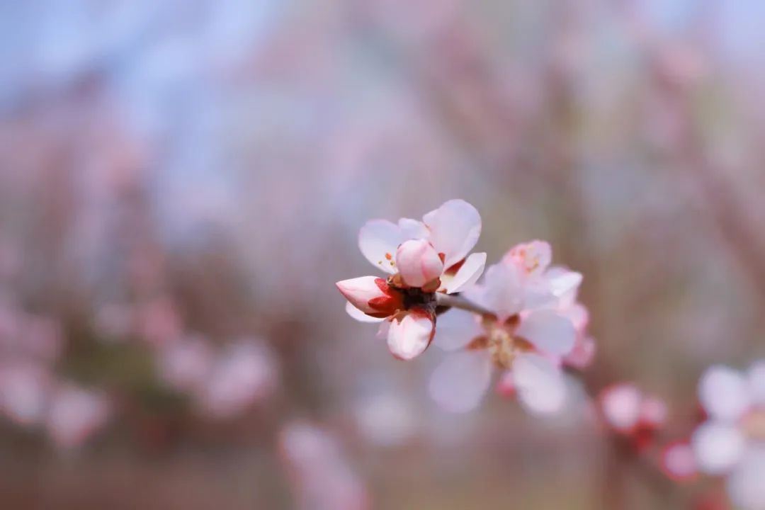 20岁小伙确诊桃花癫