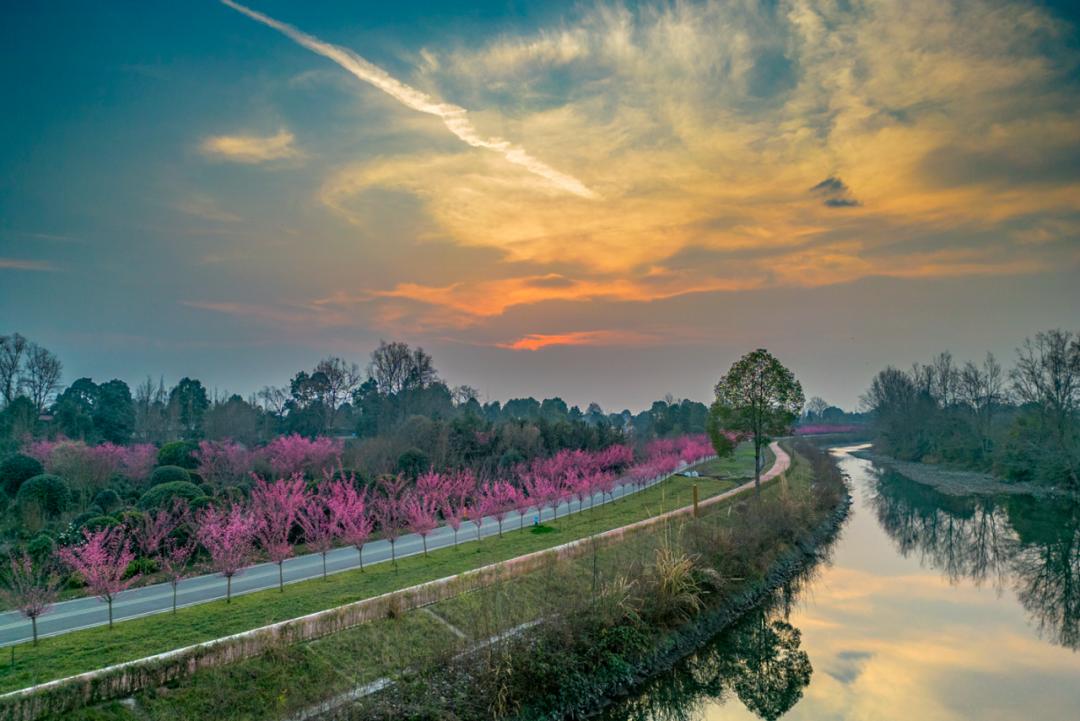 来温江吧!开启"热辣滚烫"新的一年_澎湃号·政务_澎湃新闻-the paper