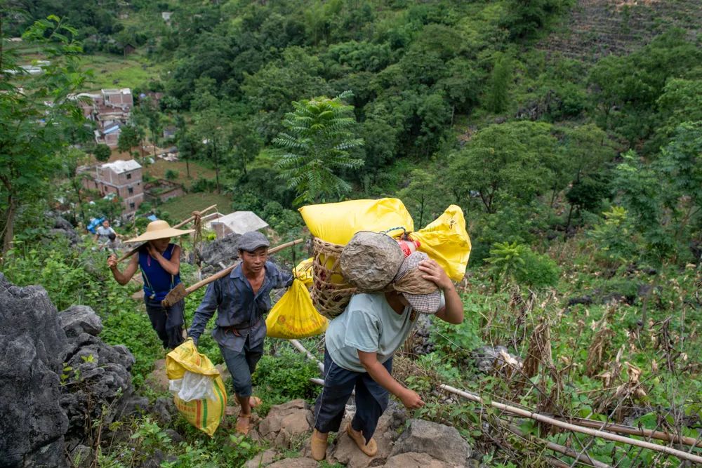 三角屯几名农民在地里翻地.