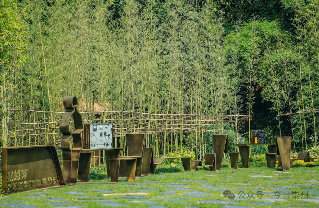 形成沉浸式竹文化百竹科普体验园实现以景说竹,以文颂竹,以人叙竹融入