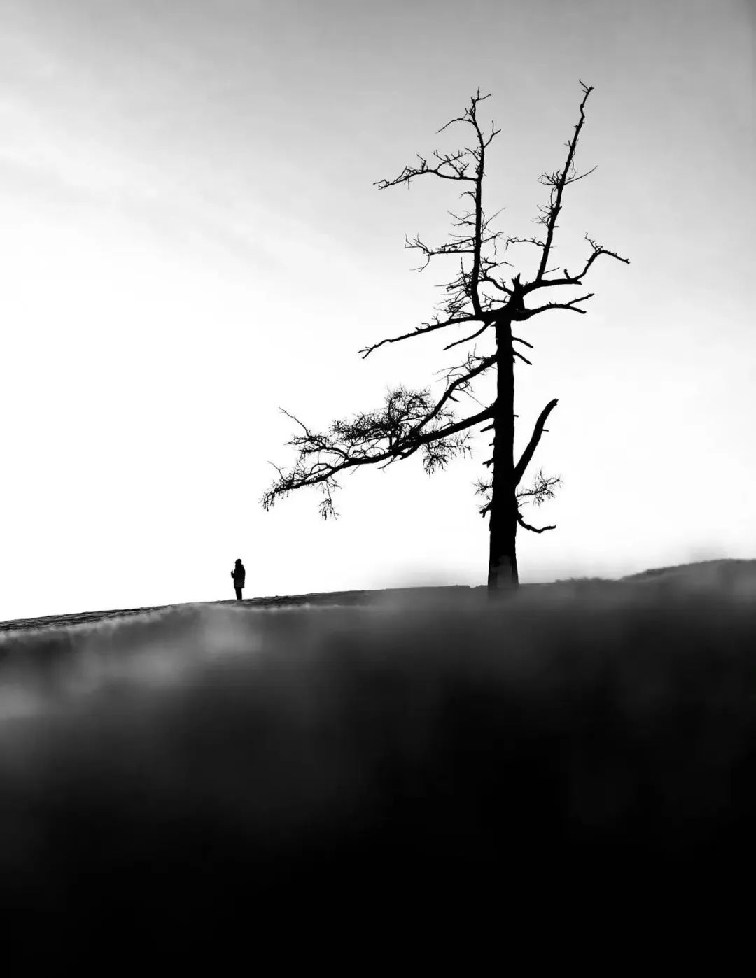 在黄昏的街头,我一次又一次失眠在时流里,我吻着又吻着一个苍白的梦