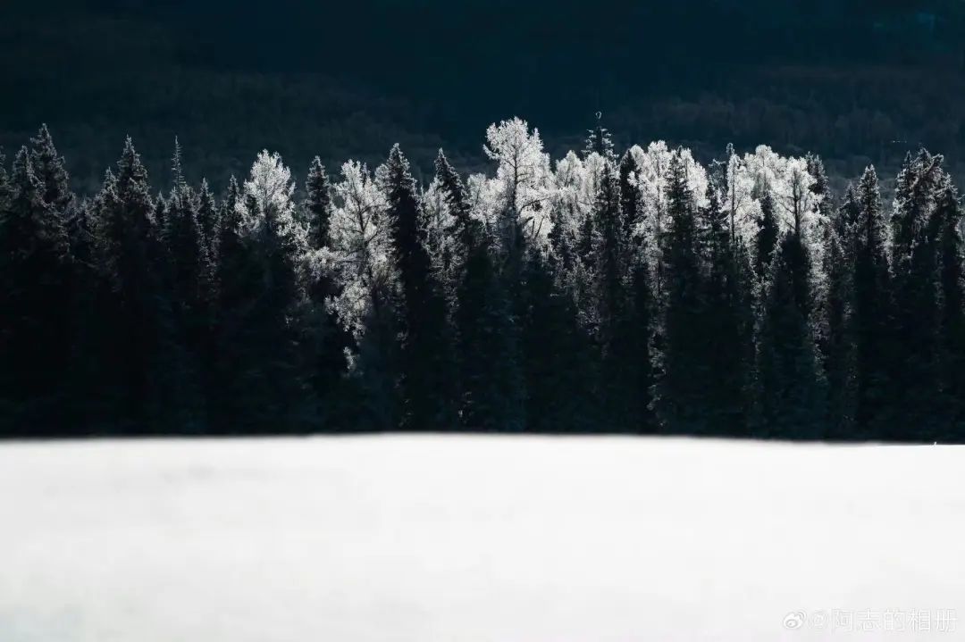 穆旦| 我们是沉默,沉默,又沉默_澎湃号·湃客_澎湃新闻-the paper