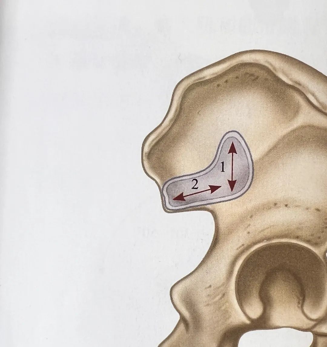 坐久了腰窝疼,别再治腰了_澎湃号·湃客_澎湃新闻-the paper