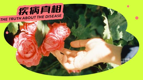 你有可能招惹上了它_澎湃号·湃客_澎湃新闻-the paper