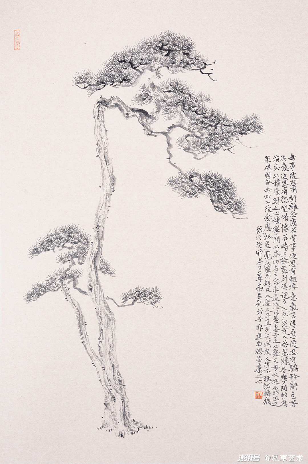 席军:龙韵古松丨私享艺术_澎湃号·湃客_澎湃新闻-The Paper