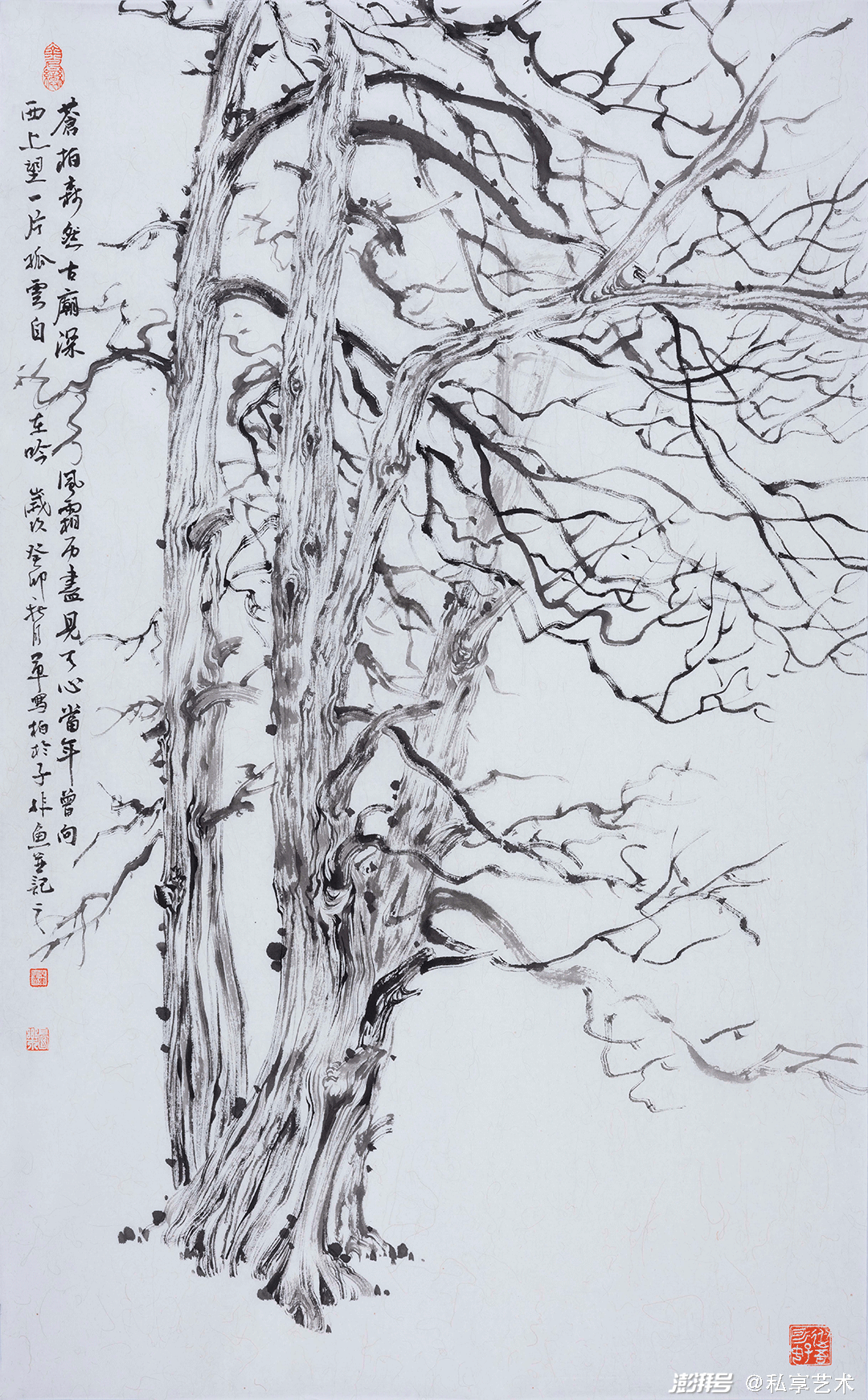 席军:龙韵古松丨私享艺术