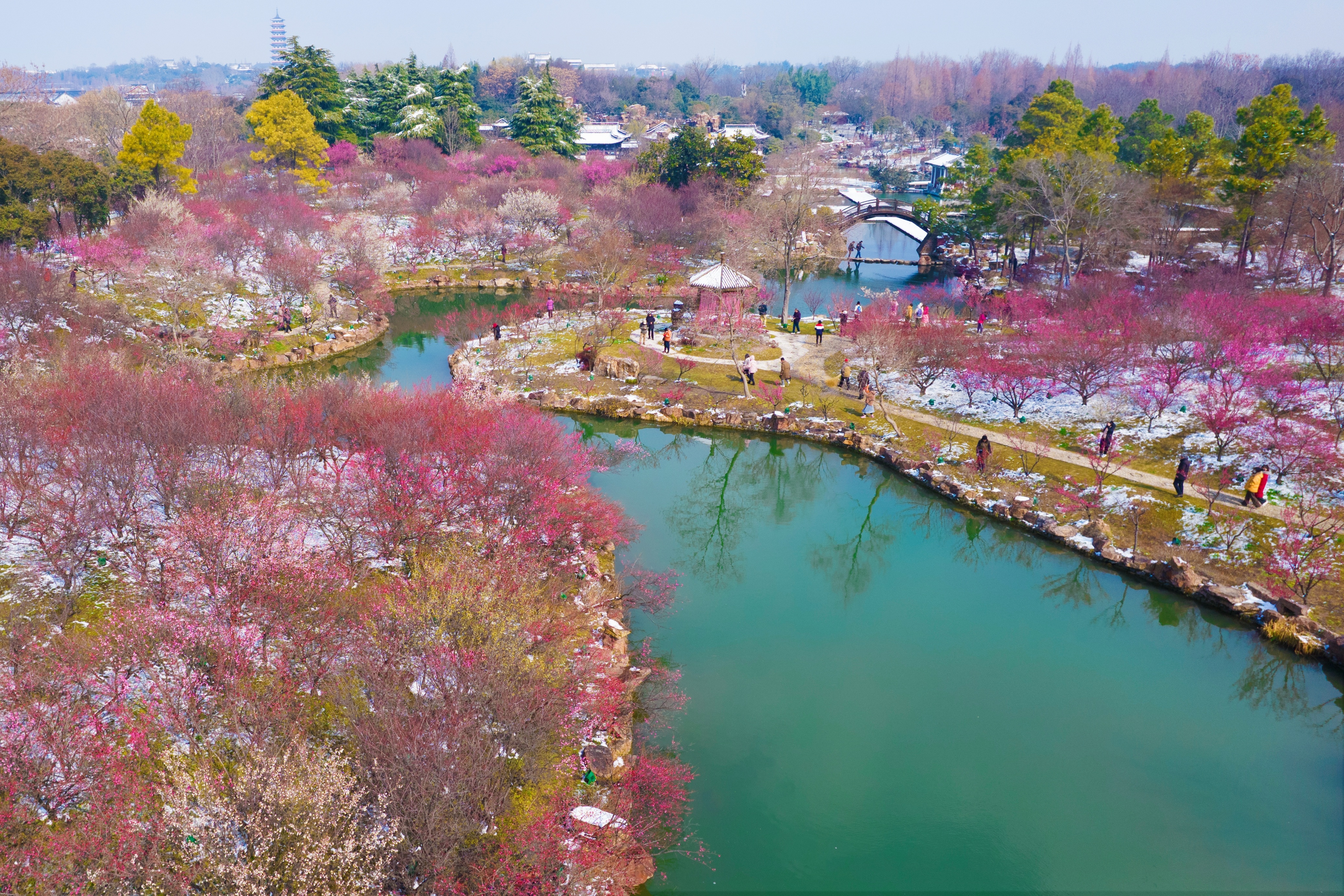 扬州瘦西湖美景图片