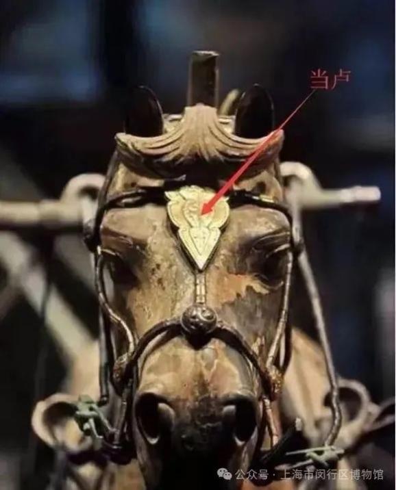 是一座真车马陪葬坑,为长江以南地区首次发现陪葬5辆独辀安车,20匹马