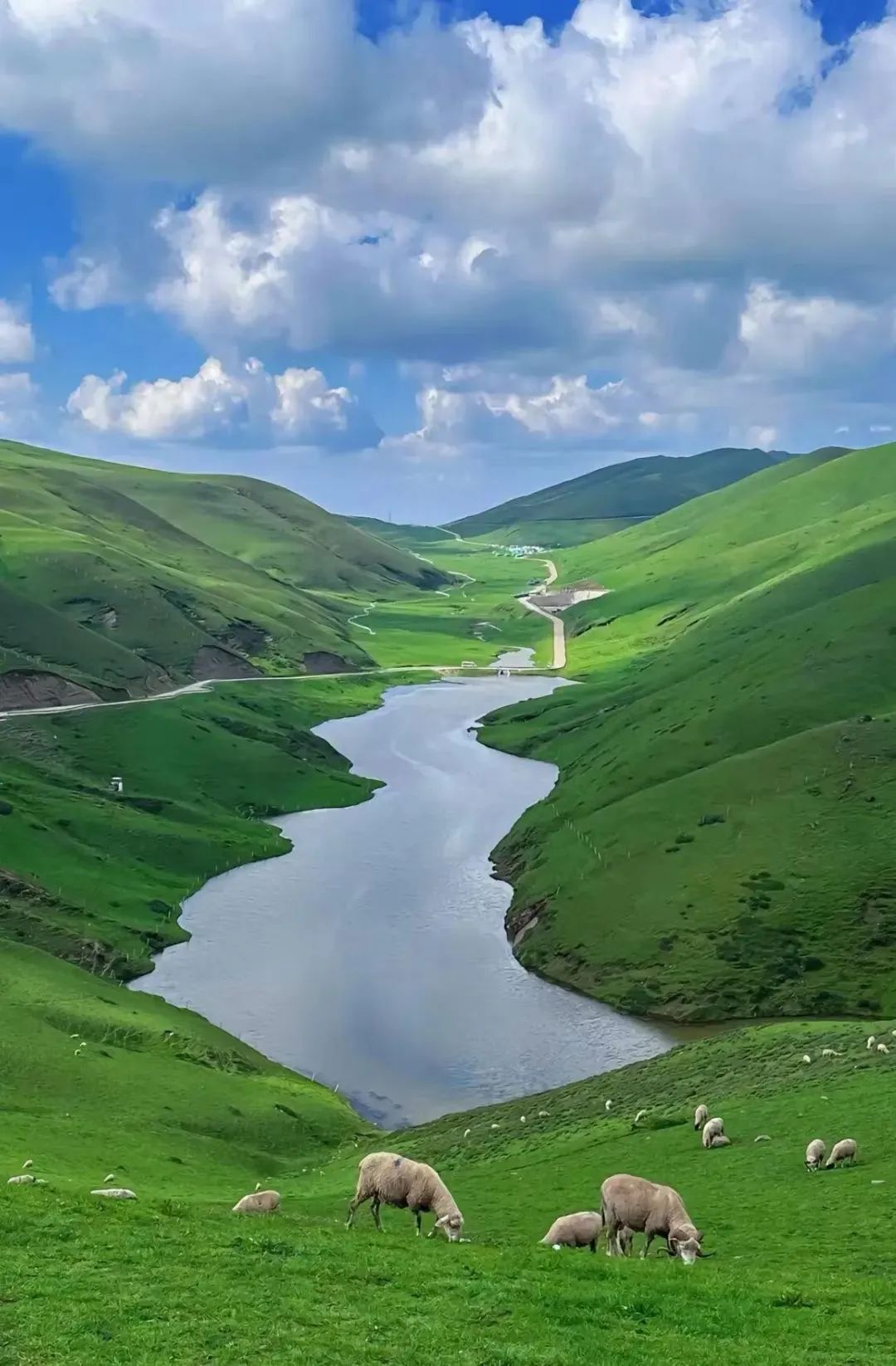 微风卷绿浪,草原暗花香.一听大海草山这名字,就已经让人浮想联翩了.