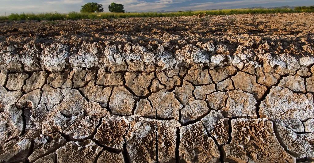 一个人一年摄入超过1000块微塑料,竟然是通过这种餐桌